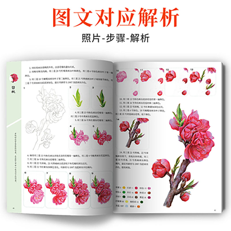 A Course Of ปฏิบัติสีเทคนิค Ze - Food And Snacks Coloring Book Bold And Easy บทวิจารณ์และราคา