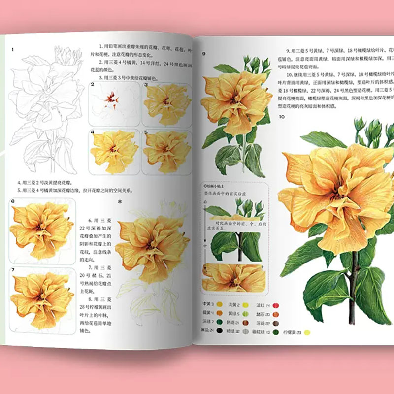 A Course Of ปฏิบัติสีเทคนิค Ze - Food And Snacks Coloring Book Bold And Easy บทวิจารณ์และราคา